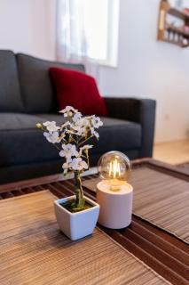 Home rent NABRDO - Kolašin - 2