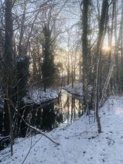Spreewaldhaus Raddusch, Boote- Fahrräder gratis - 7