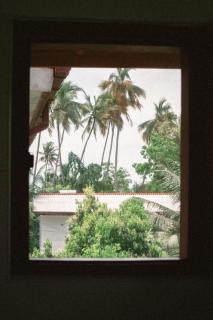 Kooks Paradise - Ahangama - 3