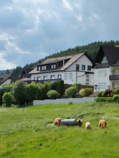 Pension Sauerland - Winterberg - 0