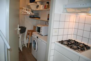 Liguster 74* - Nieuwvliet - 4
