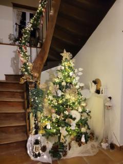 Relais de la poste ch Rose - Monclar-de-Quercy - 2