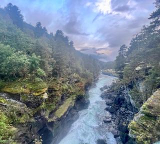 Awesome Fishing, Boating and Nature Experience at Fiskesenter Birkeland - 4