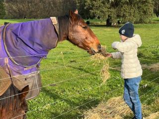 Jilly Park Farmstay Experience Discover Authentic Farm Life Complimentary Breakfast Included - Buln Buln - 8
