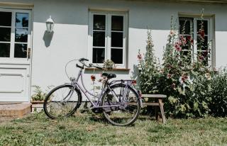 Gutshaus Krimvitz Ferienwohnung auf Rügen - Putbus - 8