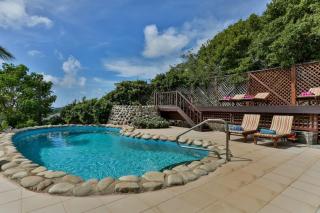 Hilltop Villa with great views out to sea - Villa Cadasse villa - Cap Estate - 9