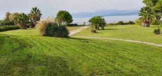 Beachfront Villa Tranquility - 2