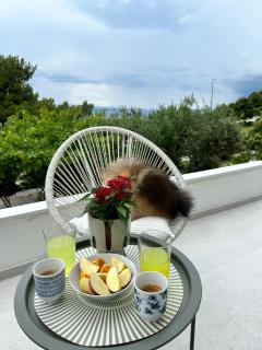 Olive View Apartment Brela - pet friendly - 8