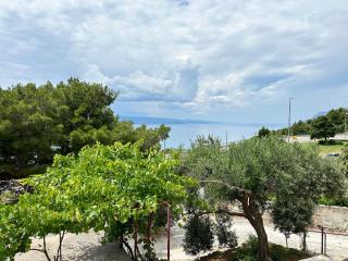 Olive View Apartment Brela - pet friendly - 9