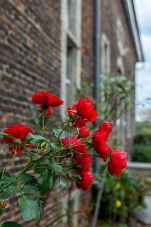 B&B La Ferme de l'Hosté - 2