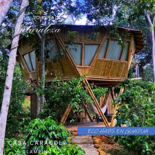 Casa Bambu Glamping - Barlovento - 9