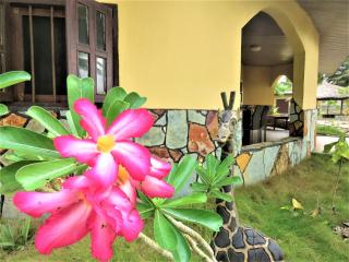 Private Beachfront Home-Ocean View-Total Privacy - 8