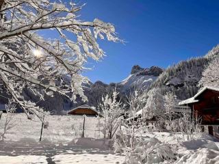 Mountain View Apartment - Kandersteg - 8