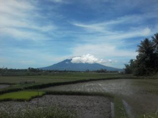 Rosani villa - Baso - 4