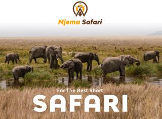 Safari Residence Lake Manyara - Mto wa Mbu - 3