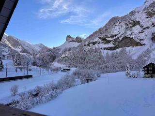 Waterfall View - Kandersteg - 7