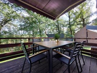Chalet Kiwi - Hastière-par-delà - 9