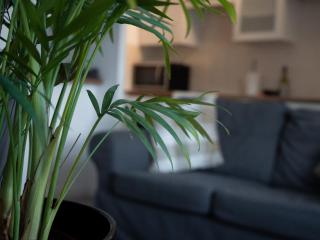 1 Bed in Saltburn-by- the- Sea 75726 - Marske-by-the-Sea - 7