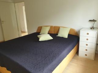 Ferienhaus in Wilhelmshöhe - Kassel - 7