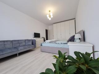 Rya's Cozy Studio - Brasov - 8