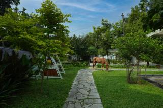 Royad Calicut Farm House - Premium Villa with Pool Inside a Farm - Kozhikode - 0