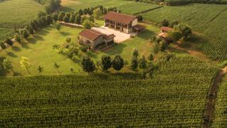 Cascina Serenella - Casa Vacanze - Calcinato - 0