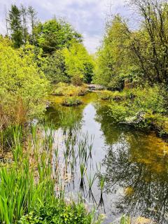 Secluded Rustic Cabin - A Digital Detox Paradise. - York - 6
