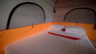 Glamping Trogón - Finca Heliconias - - 9