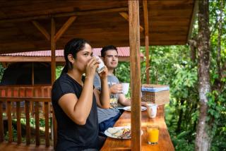 Glamping Trogón - Finca Heliconias - - 5