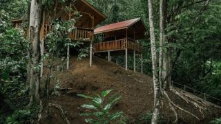 Glamping Trogón - Finca Heliconias - - 2