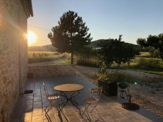 Gîte Figuier au Mas Dujau - Saint-Sauveur-de-Cruzières - 1