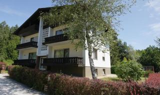 Amerika-Holzer Hotel & Resort - 7