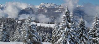 PANORAMA SportHOTEL - Folgaria - 5