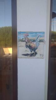 Gallo - La Cantina del contadino - 9