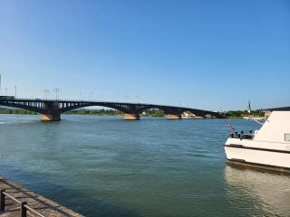 Schönes, vollmöbliertes Zimmer direkt an der Uniklinik Mainz - Mainz - 4