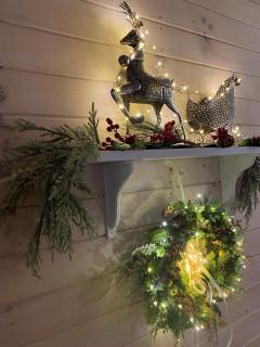 Forest house - 1