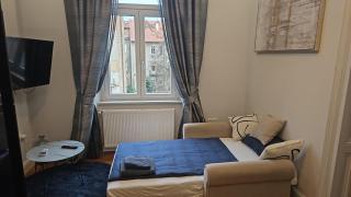 Lux Nice City Center with private Parking - Zagreb - 7