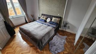 Lux Nice City Center with private Parking - Zagreb - 9