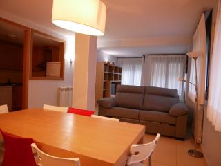 Saüc-Vacances Pirinenca - 5