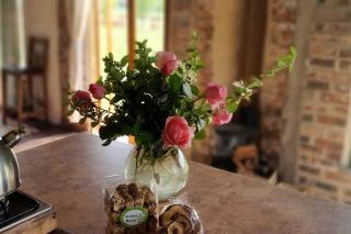 Peaceful Farm cottage, organic, lovely views. - 8