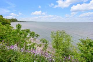 Lakeside Bliss Breathtaking View - 6