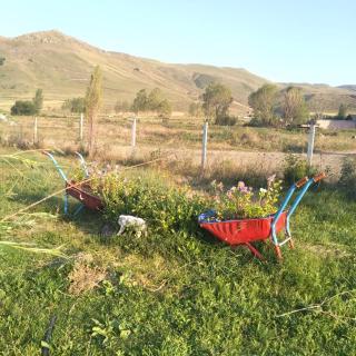 Sivil&Sed - Spitak - 3
