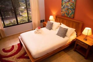 Boquete Luxury Mountain Villa - 7