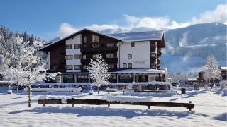 Das Alpin - Hotel Garni Guesthouse - Scheffau am Wilden Kaiser - 0