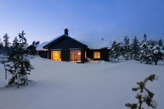 Villa Budor - 60 min fra OSL - Jaccuzzi - 4 soverom - 3