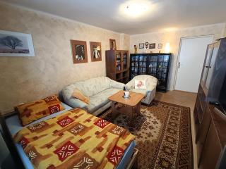 3 pokoje v rodinném domě, sdílená kuchyně s hostitelkou (homestay) - Samotíšky - 3