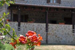 Agriturismo Casavecchia - Abetito - 7