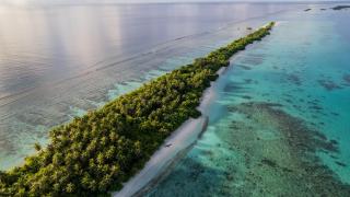 Whaleshark Beach - Dhigurah - 8