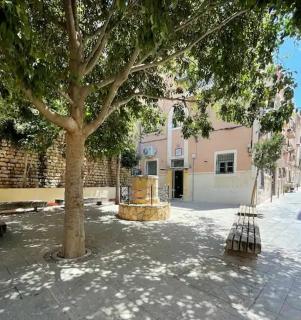 La Casita del Marqués - Alicante - 0