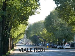 YOU REDI - Florencia - 4